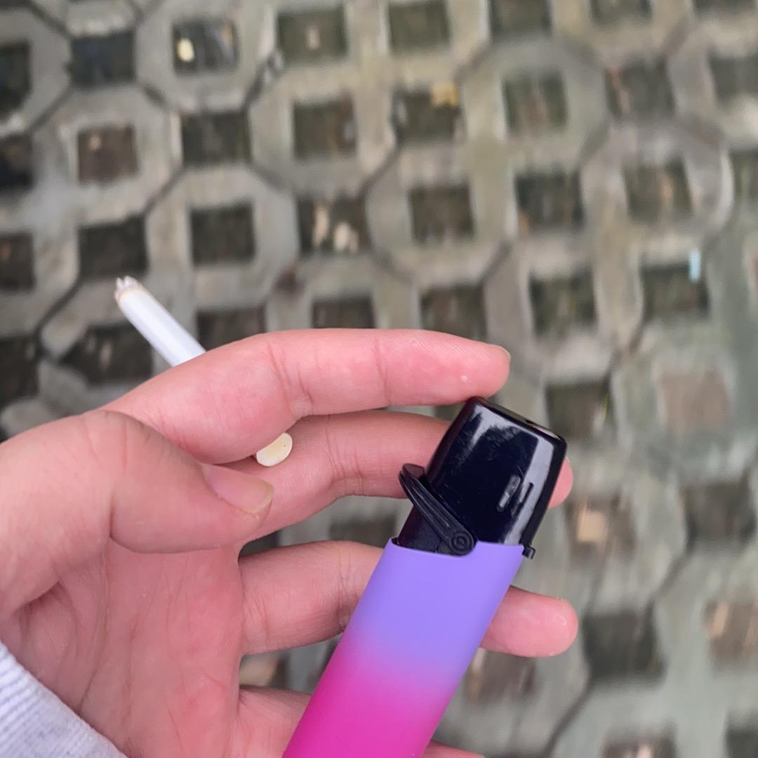 春花秋月