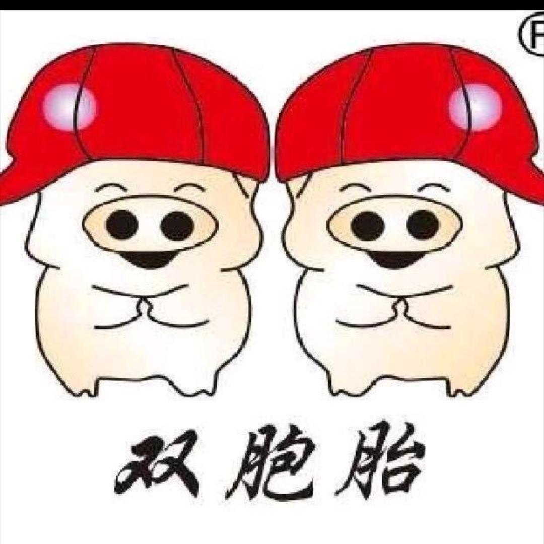 双胞胎养猪服务站