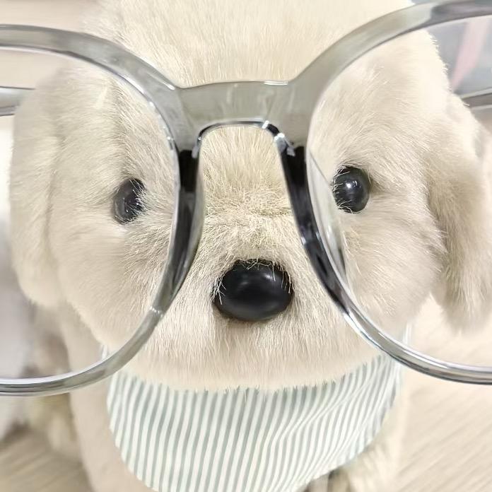 大王ᐢ_   ̫ _ᐢ