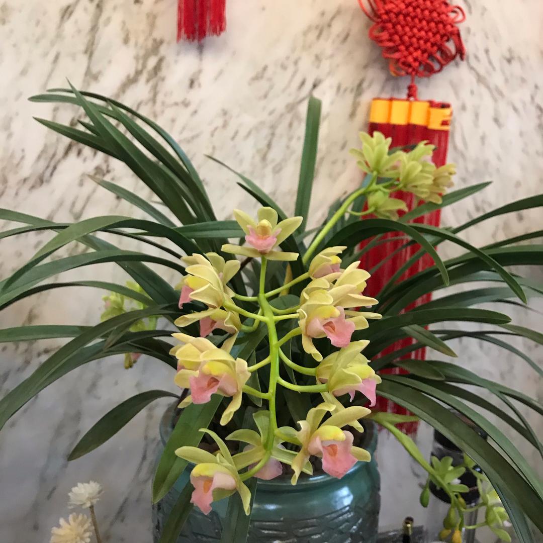 嵊州市山外山水上乐园