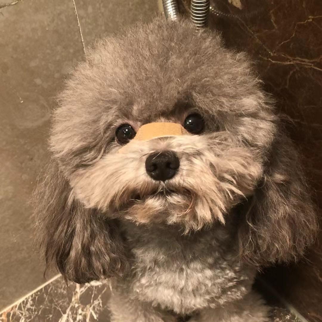 21