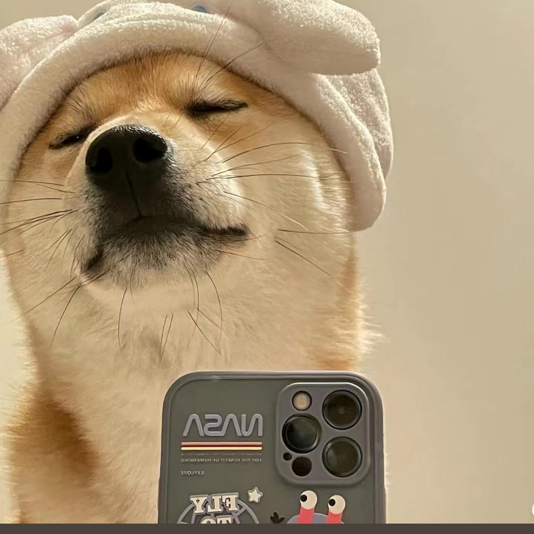 是孙不是熏