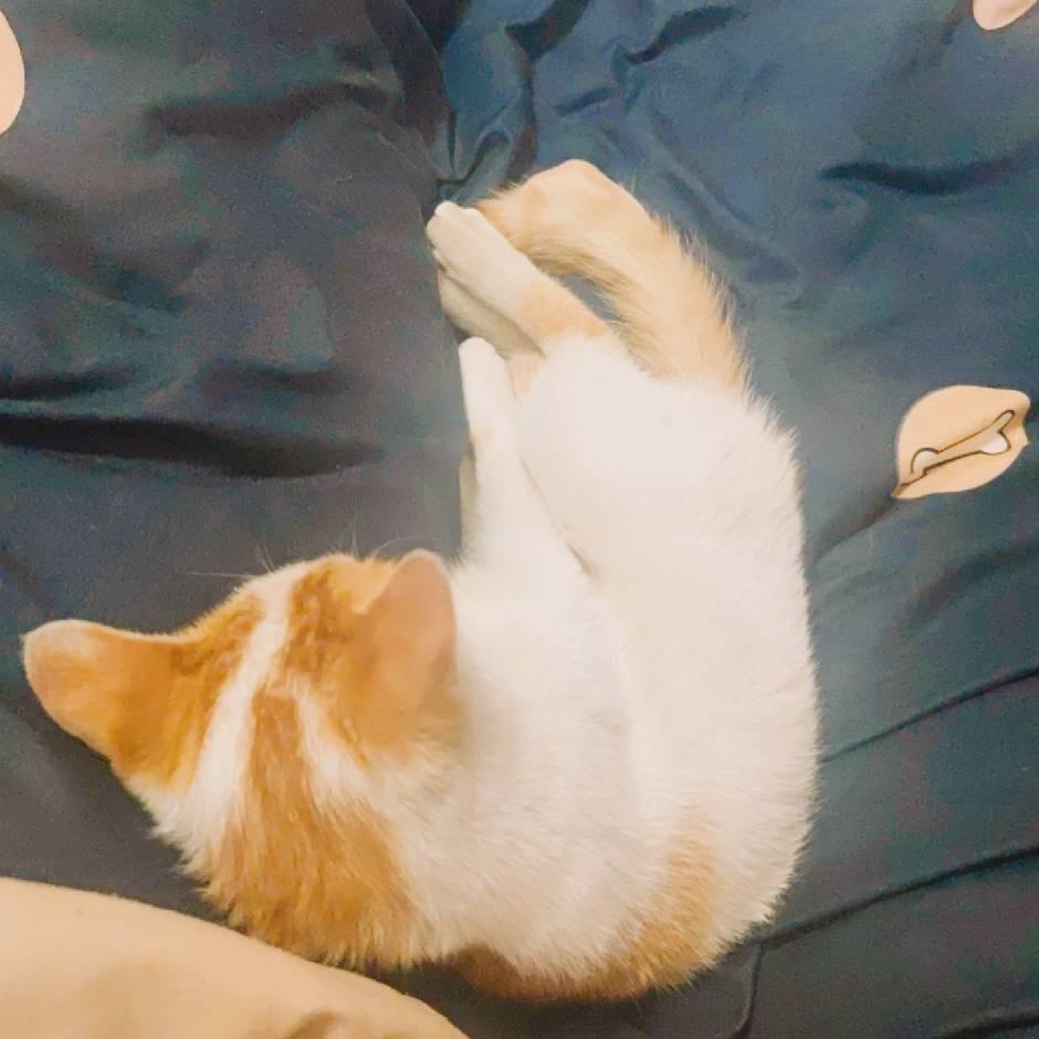 －久绊