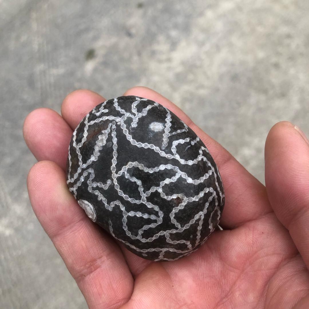 闲情逸致@