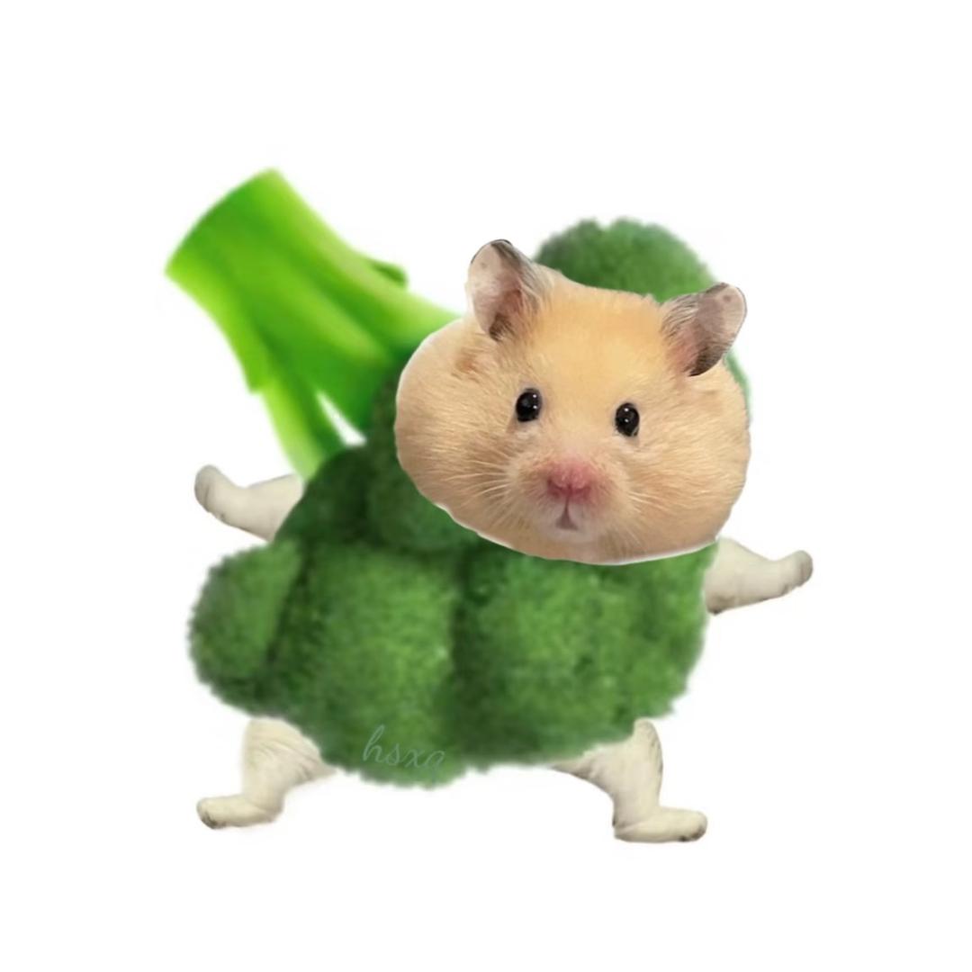 大贝.