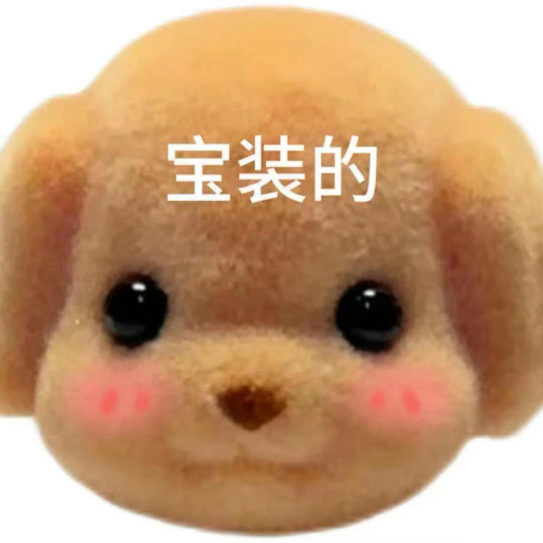 小只羊🐑