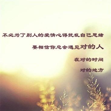 鼪