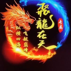 飞龙在天@