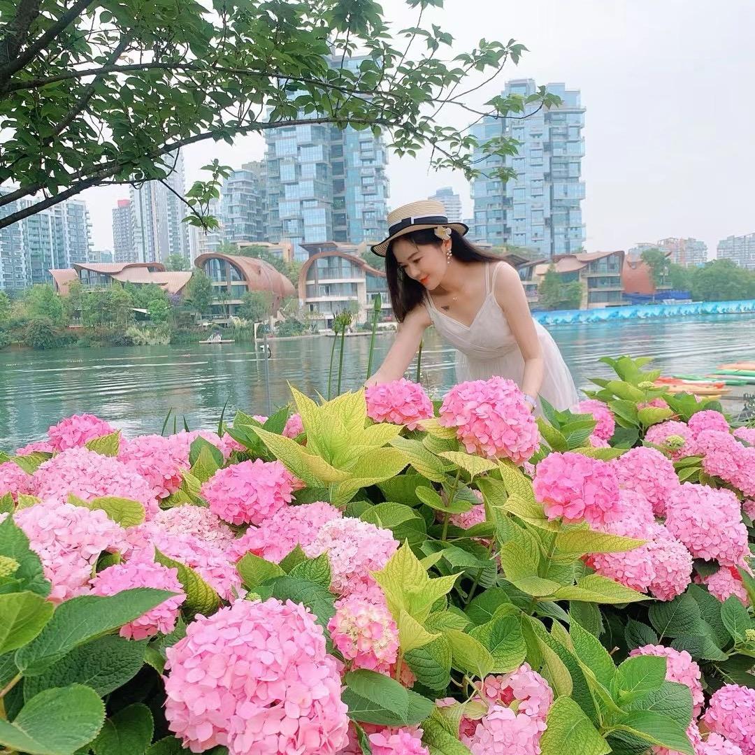 🦋蝶恋花🌸