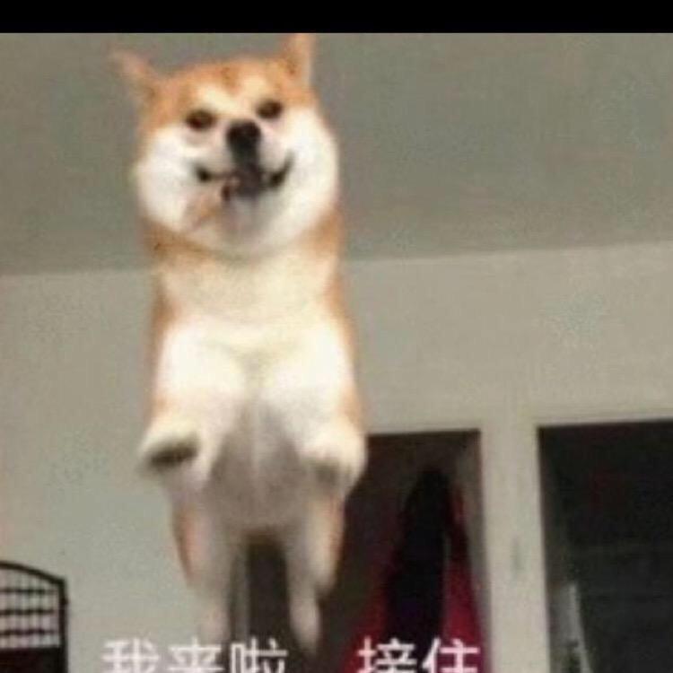 福崽
