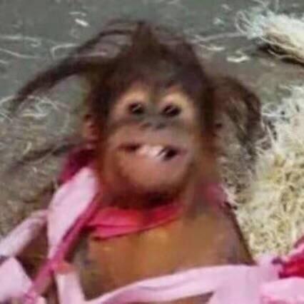 今天认真捡垃圾了