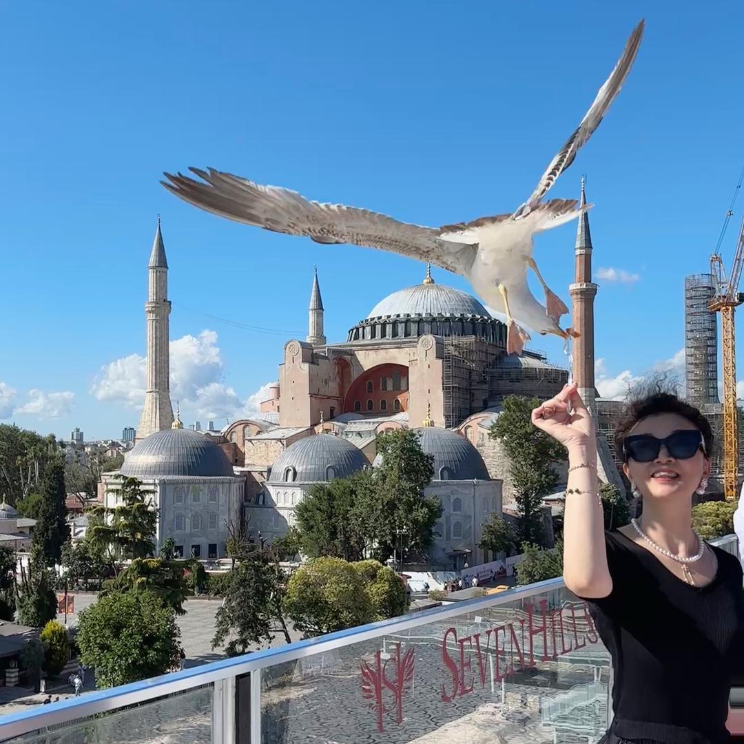 热爱生活的神仙姐姐