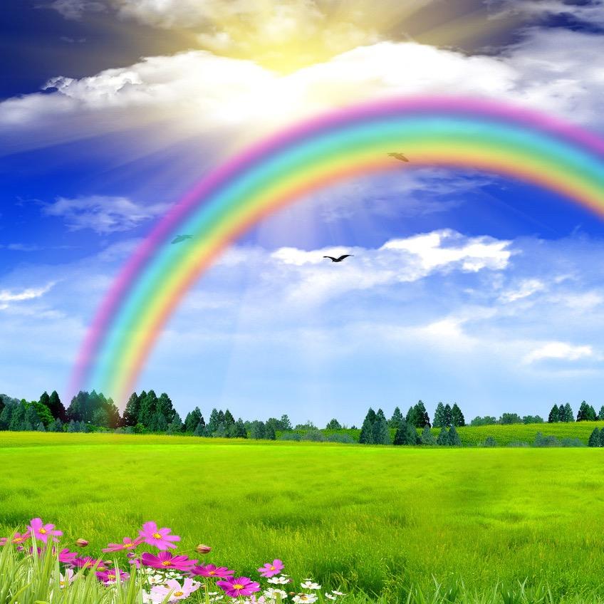 惠吃惠玩🌈