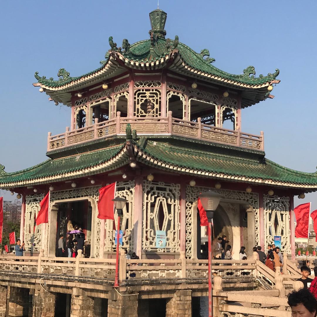 乡村的笨笨鸟