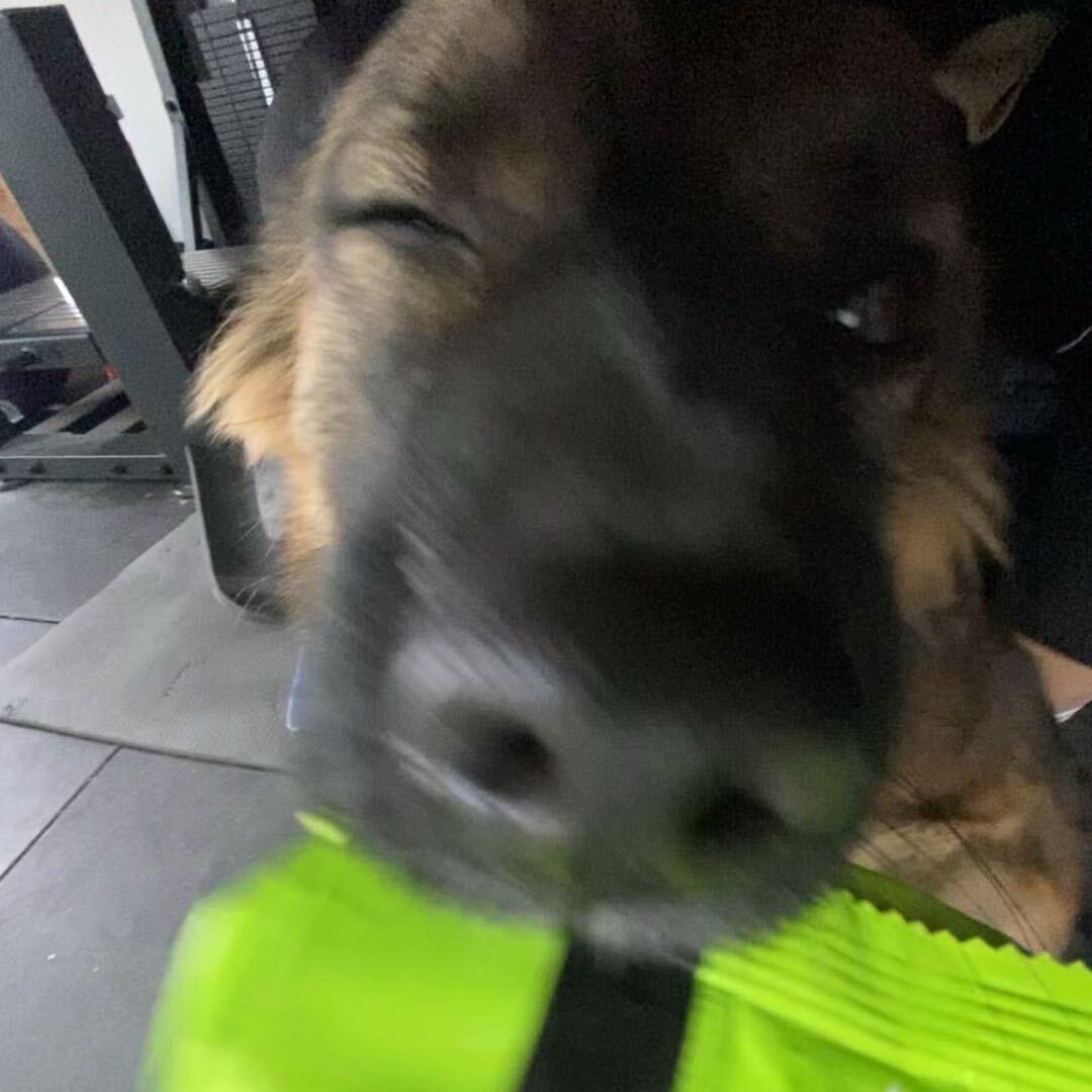 铅球周少