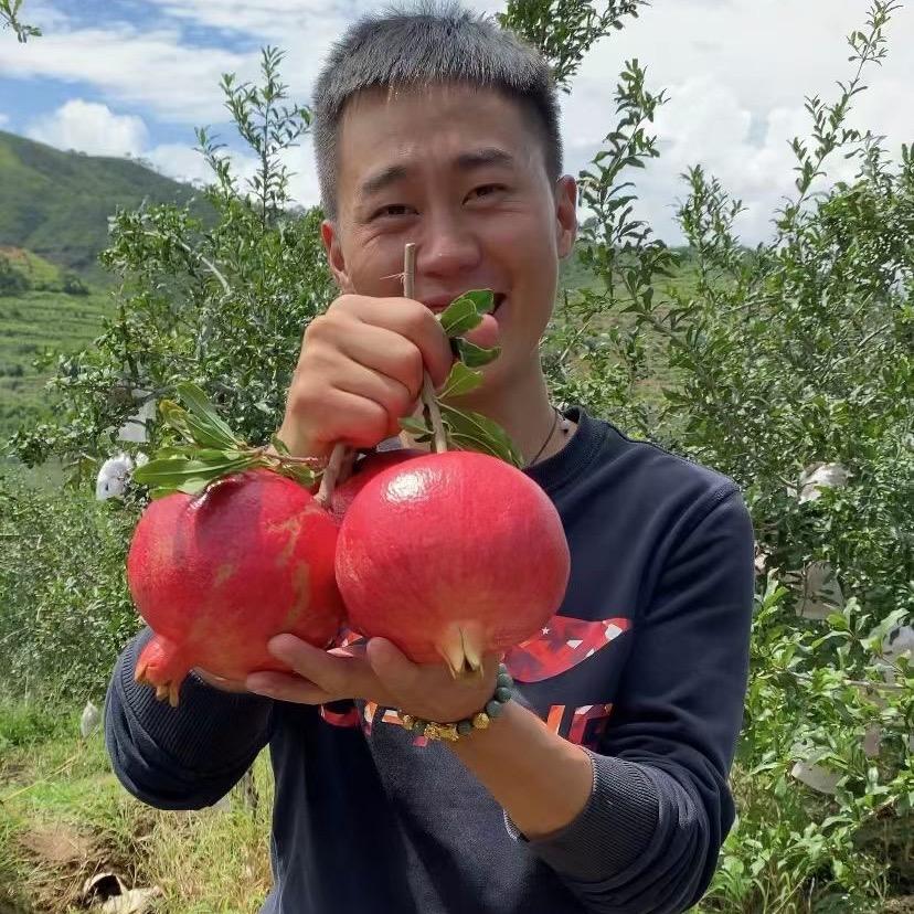 小帅家乡水果