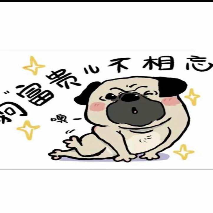 狗富贵狗零食工厂店