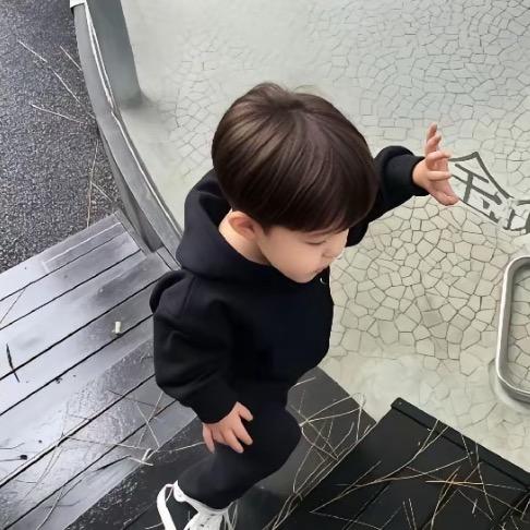 会爬的什锦