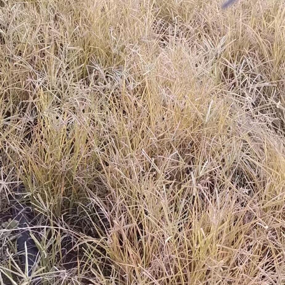 瑞合化工科技