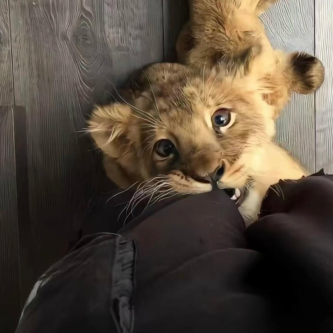 💰⃟捞金大叔²⁰²⁵࿐