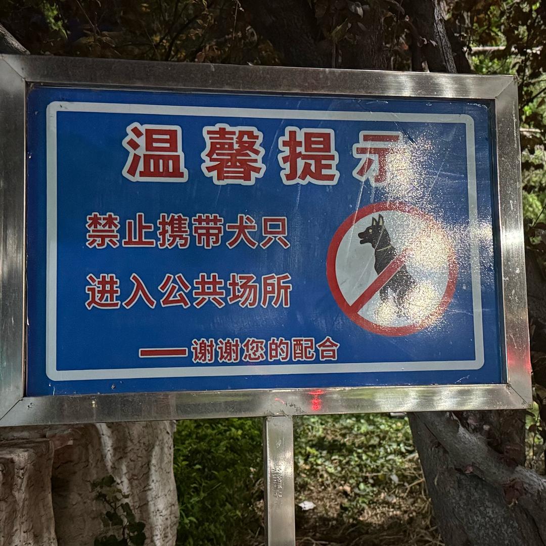 膏药贴在哪里
