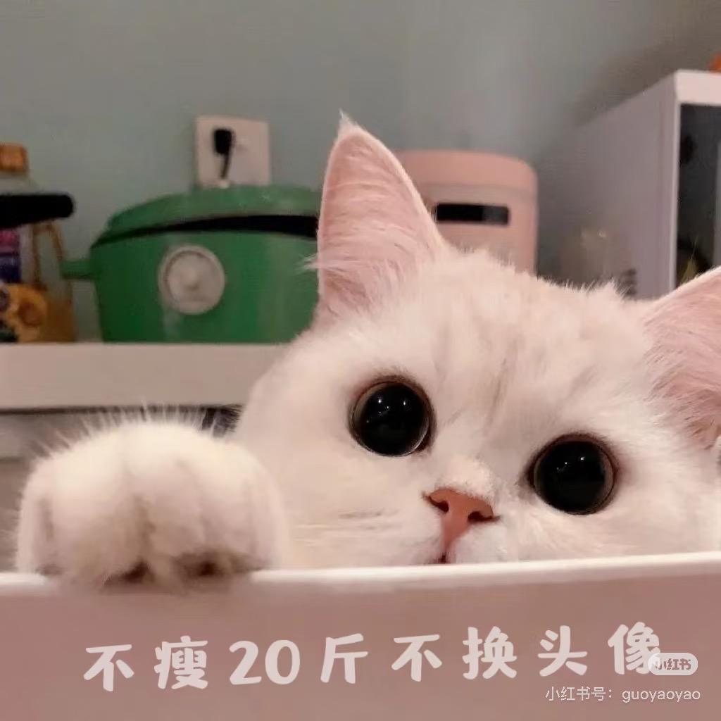 我比你妈还爱你💋