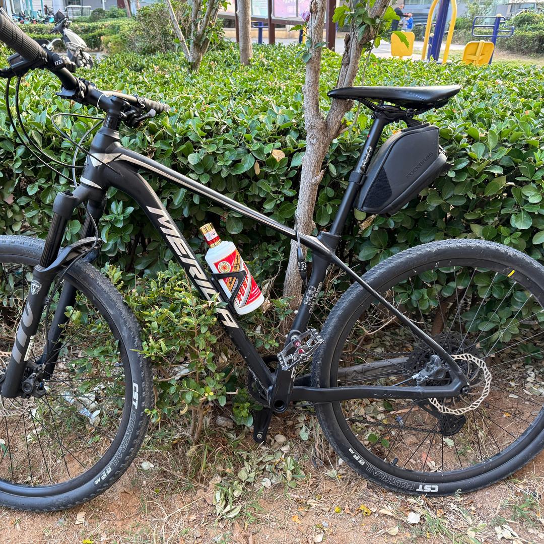 凭栏静听潇潇雨