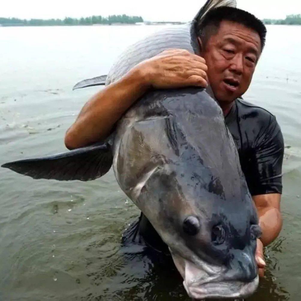 农村晓晓爱钓鱼