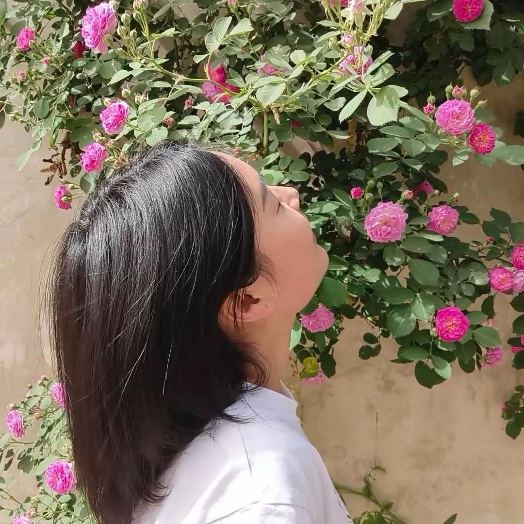 瓜瓜☘️