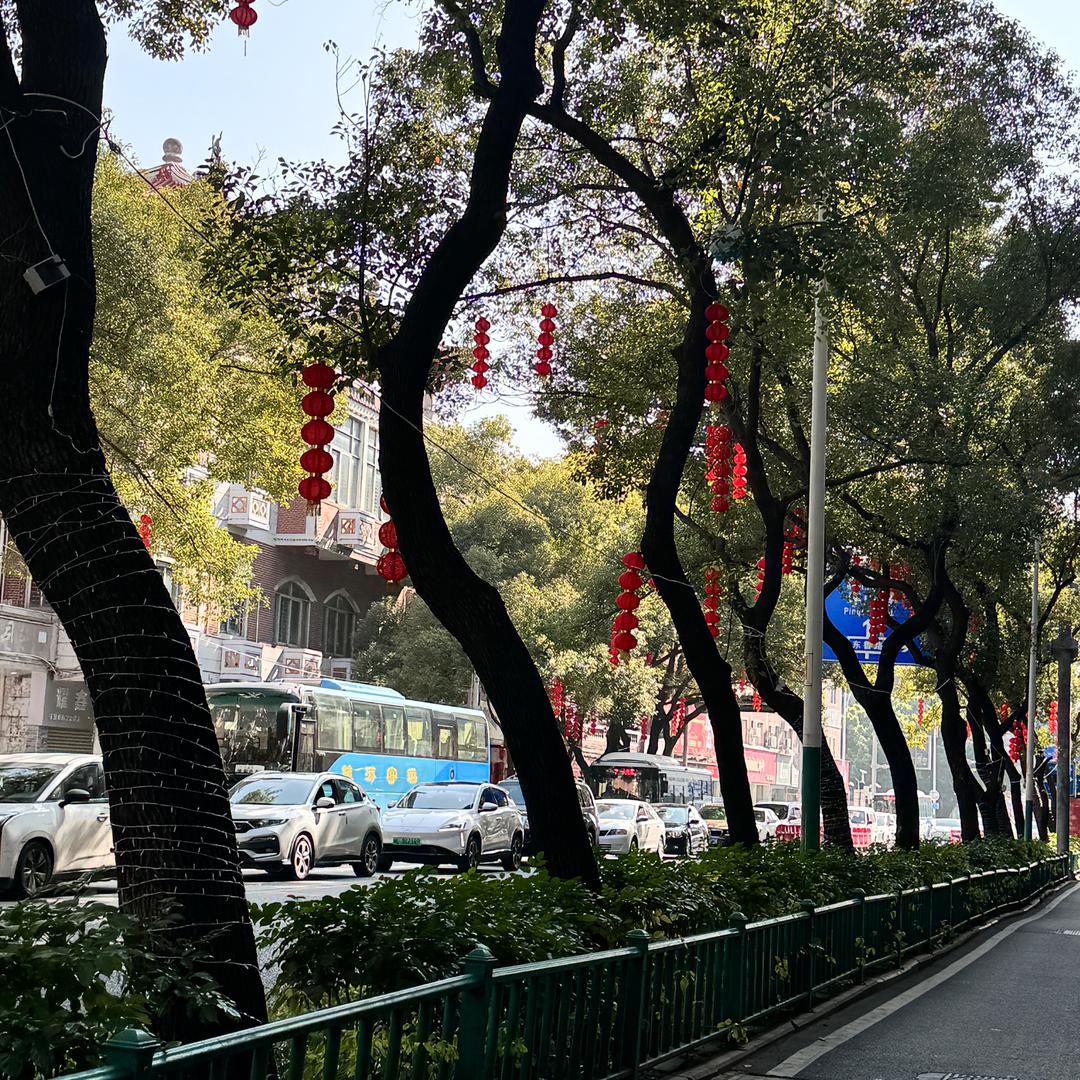 佳佳【努力版】