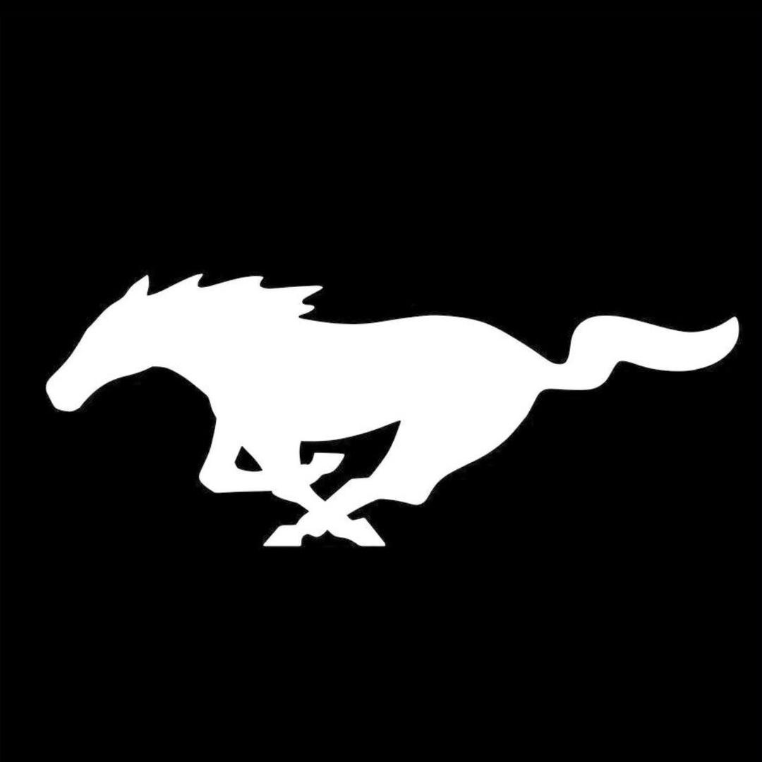 广州华驰福特～牛仔