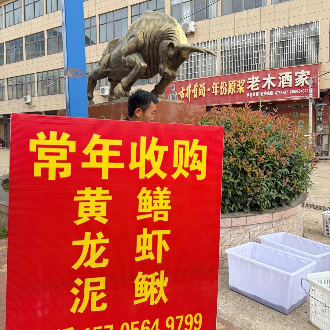 牛集老木酒家