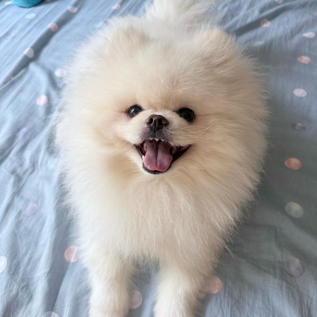 每天一杯冰咖灰☕️