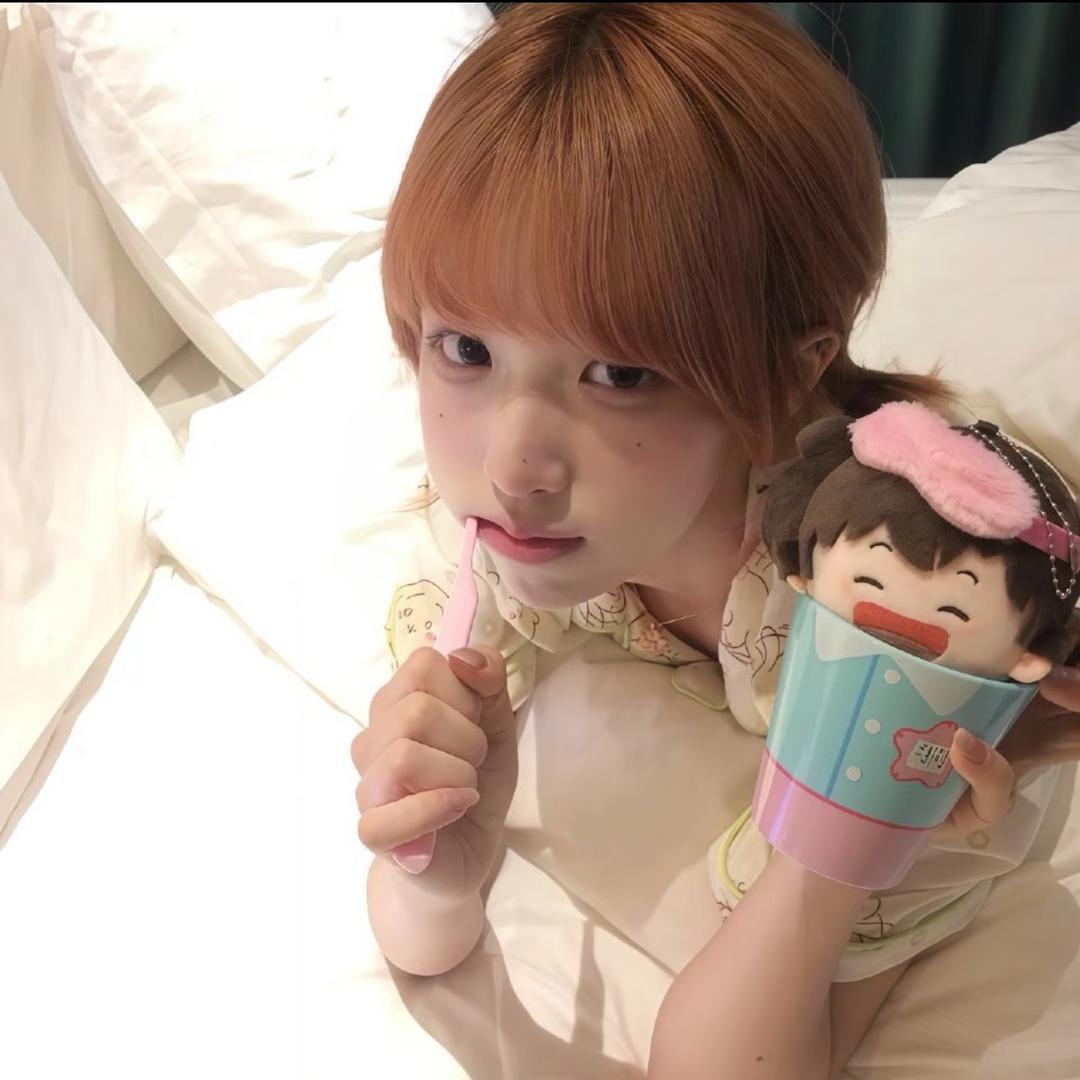 xin（心碎小狗版