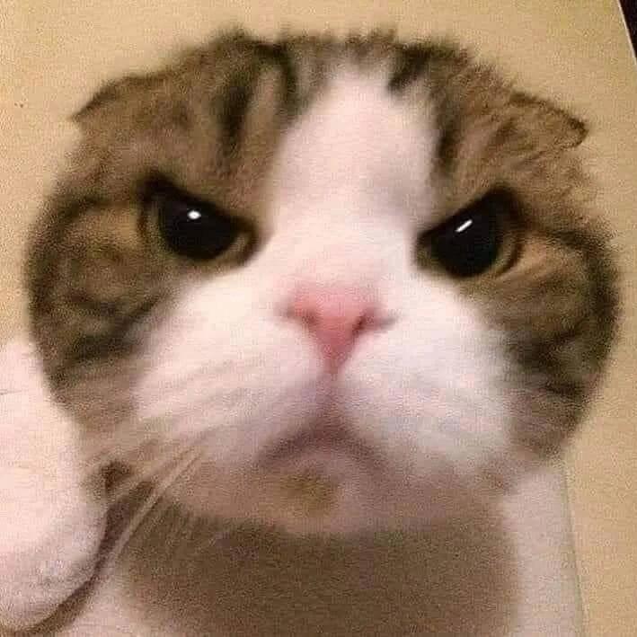 发大才