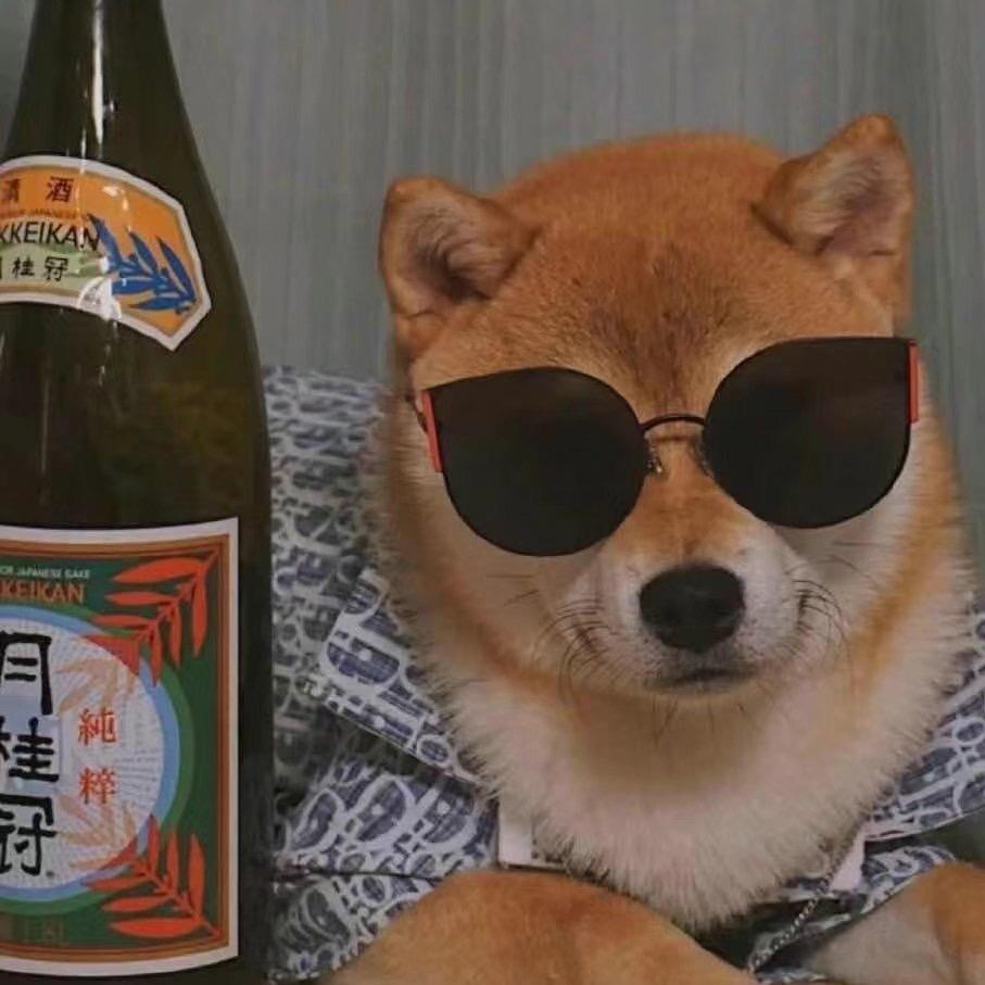 八嘎犟种