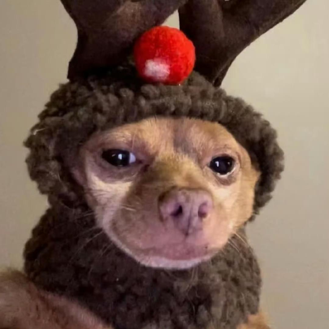 imhudie