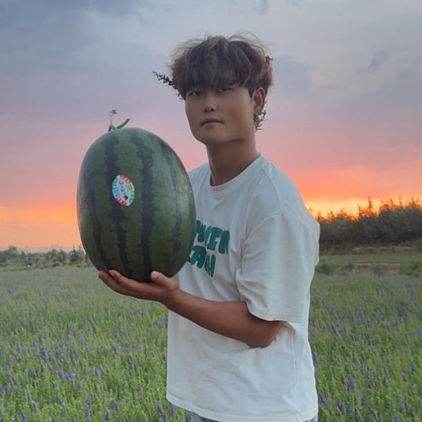 小杨🍌（顶峰相见）