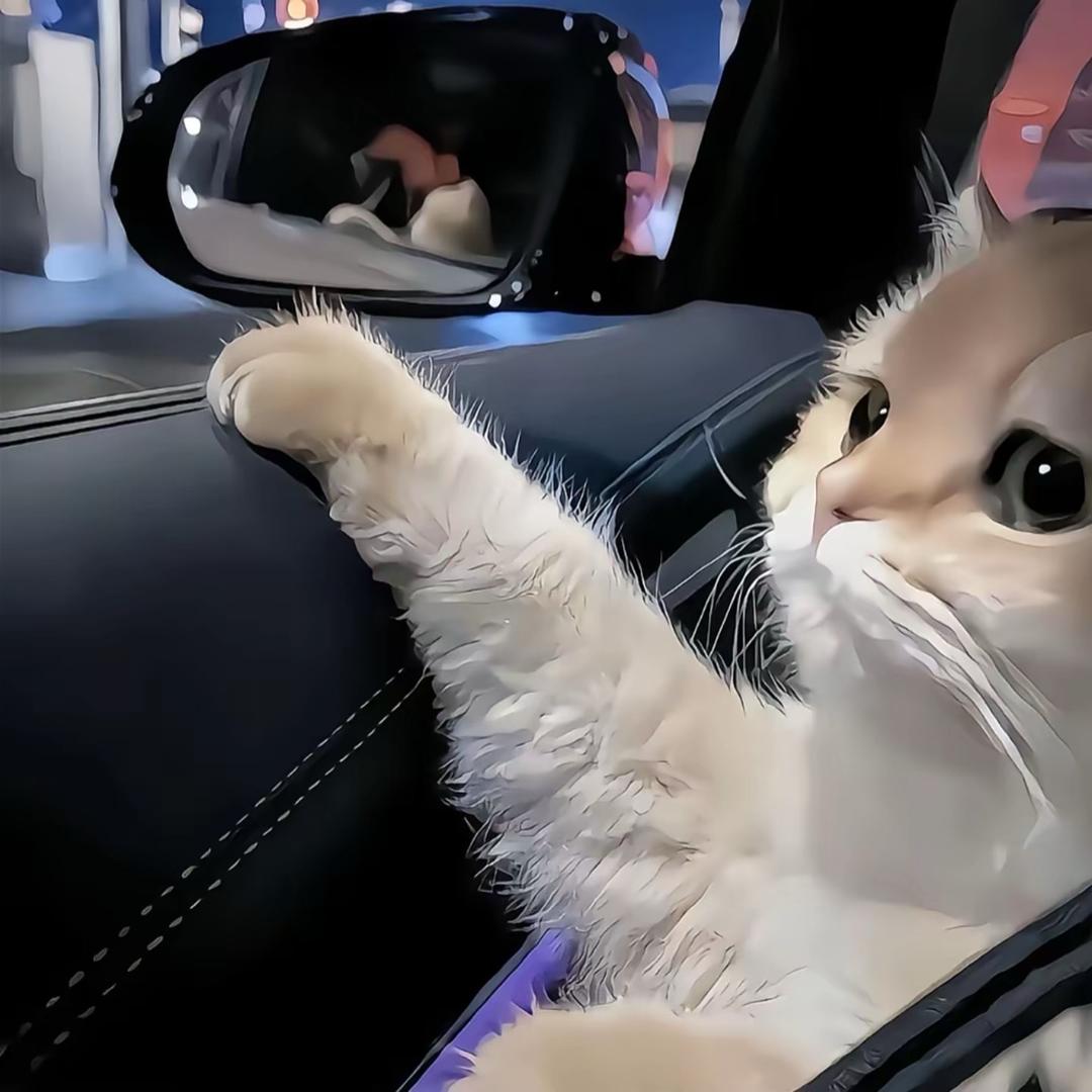 阢心