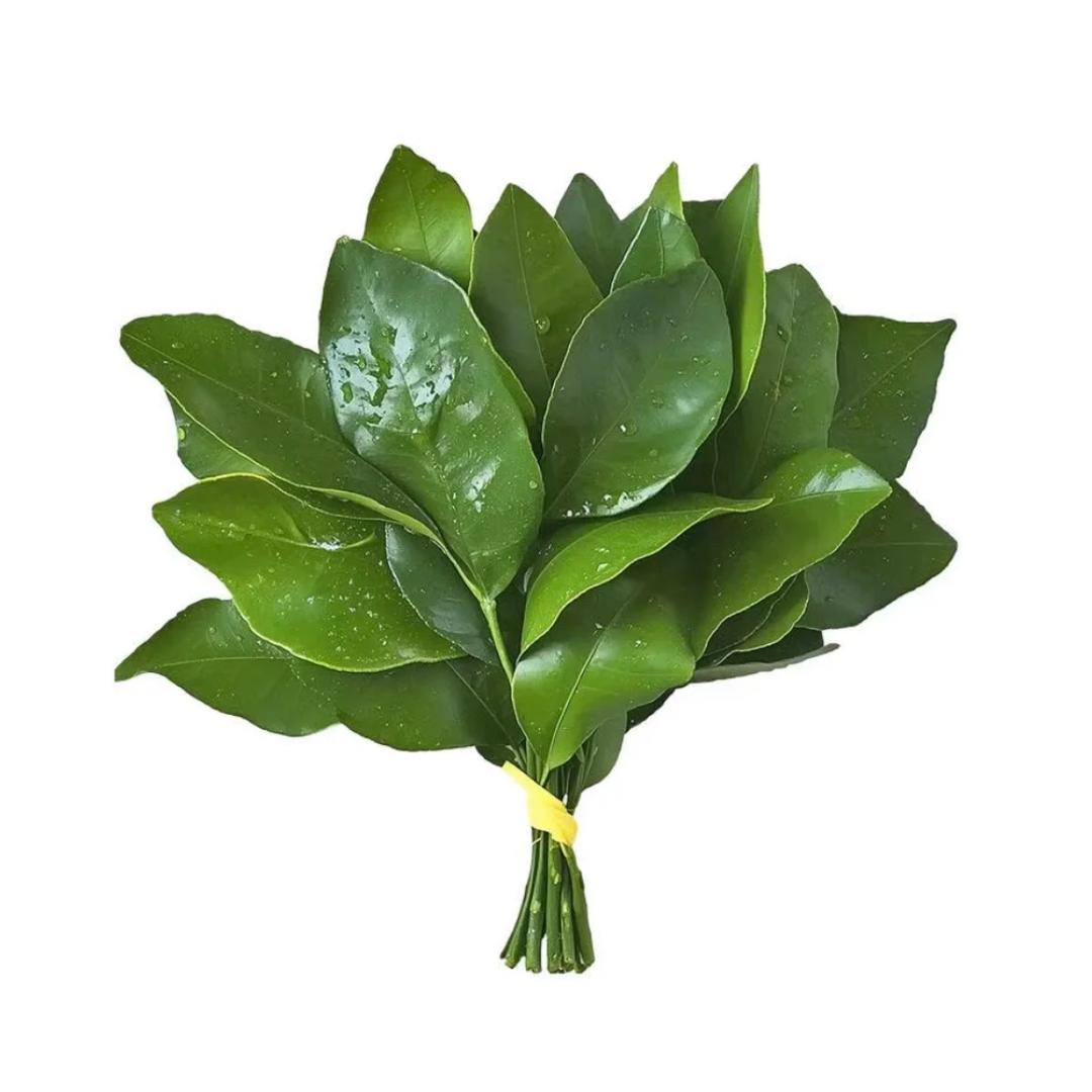 你别害我了