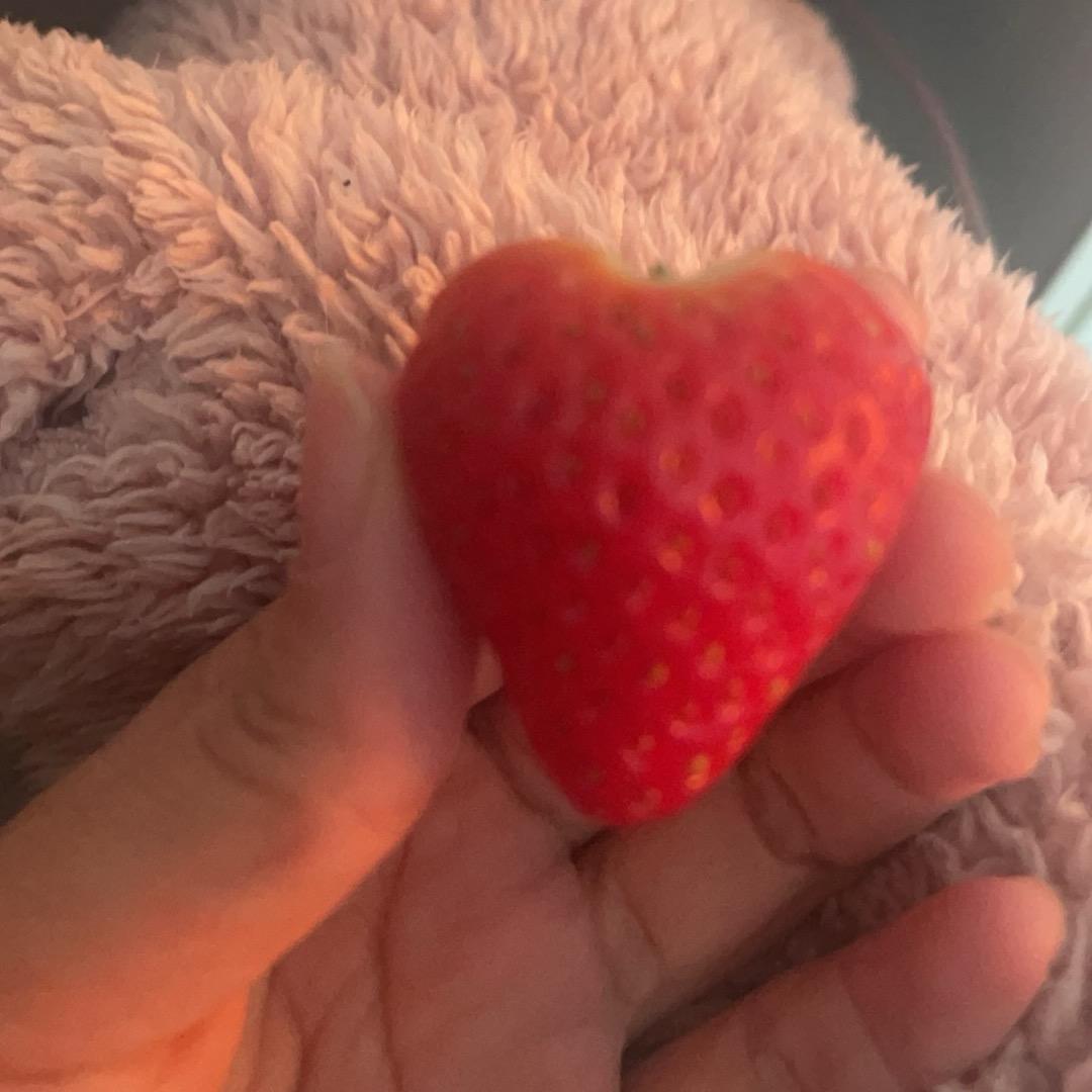 微微Town🍓