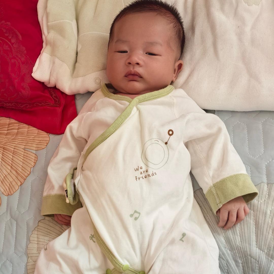 何宝宝（日常分享）