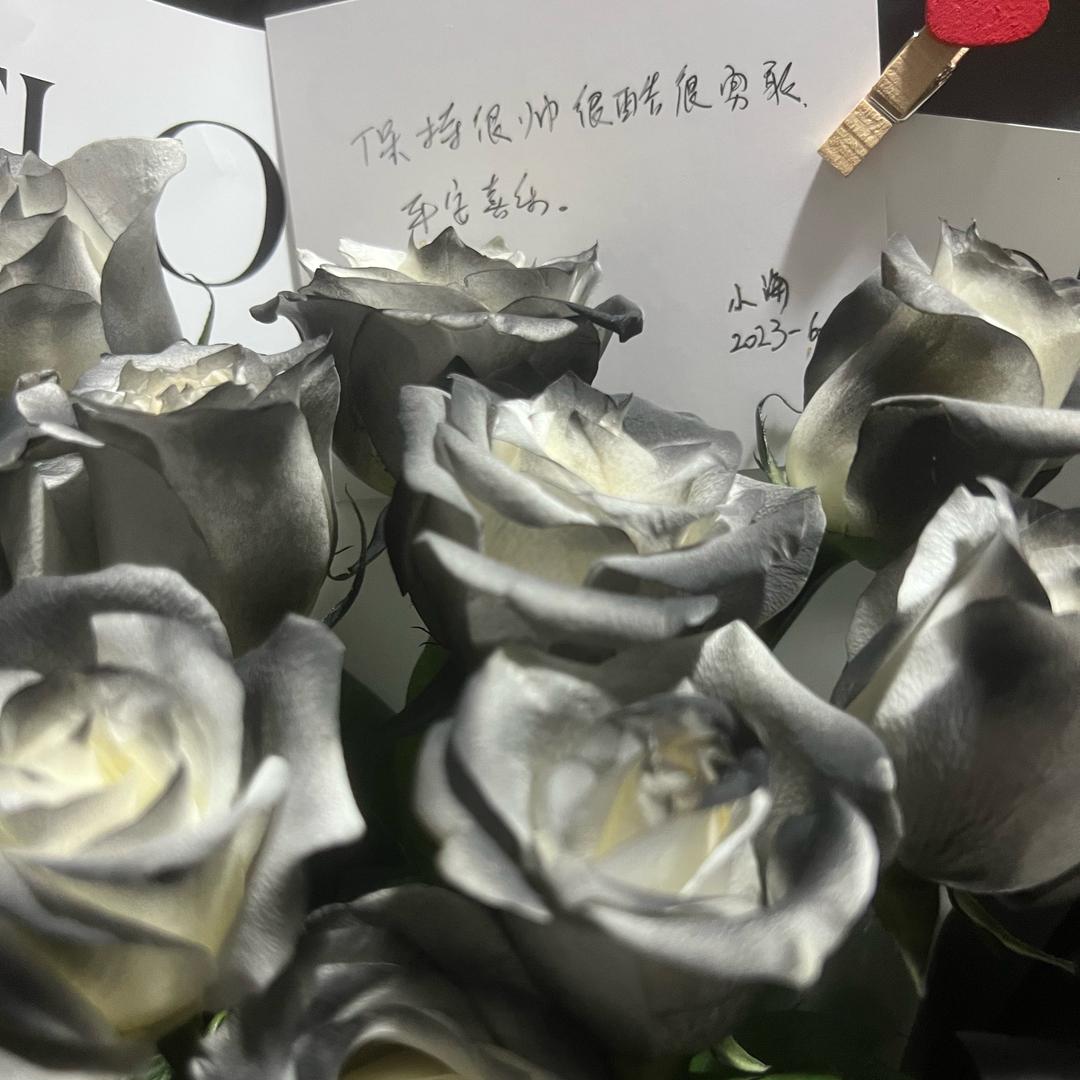 扬鞭催马插翅飞