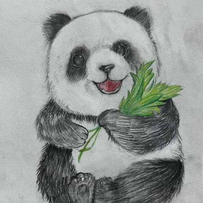 航航车品小当家