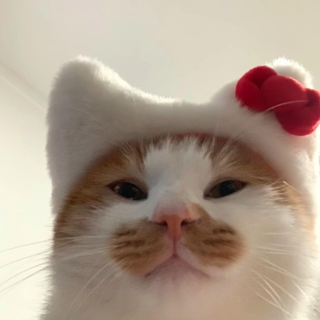 美丽猪肉粥