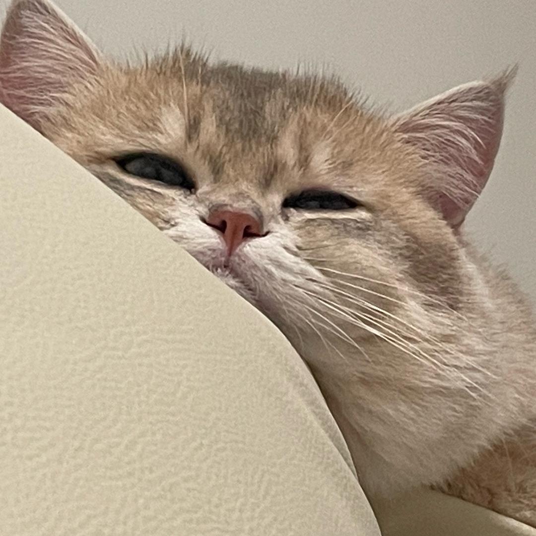 丘北