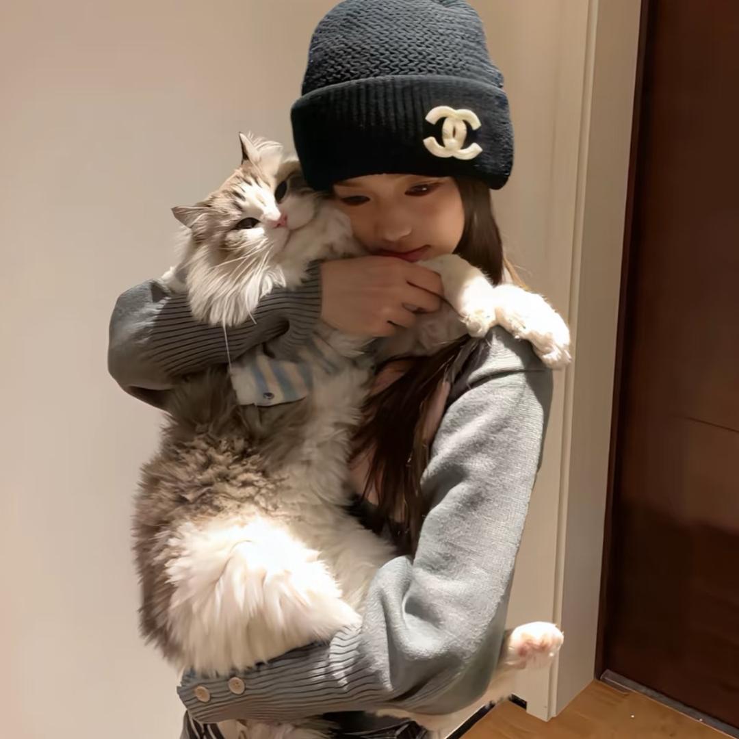 摆烂蛋挞