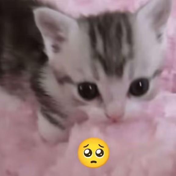 愤怒的农村人233