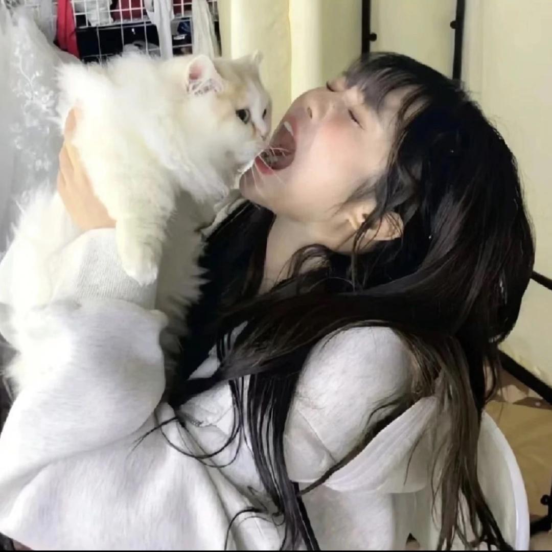 失眠了