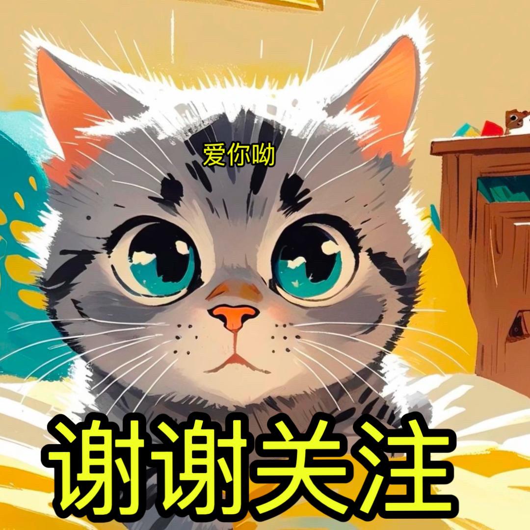 小猫暴富